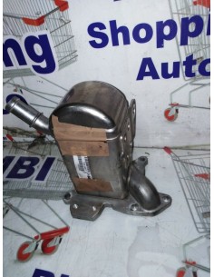 EGR RADIATORE RENAULT... 2