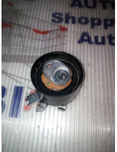 PULEGGIA TENDICINGHIA...