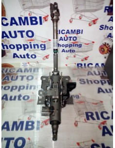 PIANTONE CANNA STERZO...