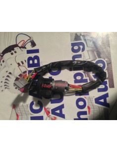 BLOCCO BLOCCASTERZO  KANGOO...