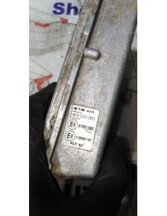 CENTRALINA INIEZIONE GAS... 2