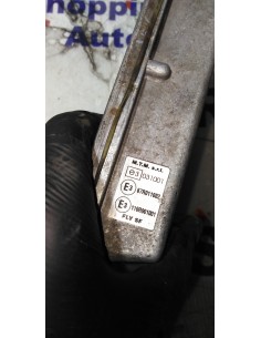 - CENTRALINA GAS BRC GPL... 2