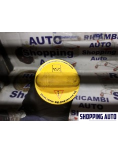 STECCA ASTA LIVELLO OLIO... 2