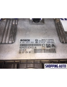 CENTRALINA MOTORE MODULO... 2