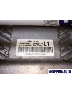 CENTRALINA MOTORE MODULO... 2