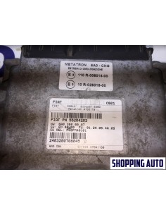 CENTRALINA METANO METATRON... 2