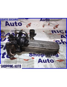 SCAMBIATORE EGR VW AUDI A2...