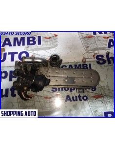 SCAMBIATORE EGR VW AUDI A2... 2