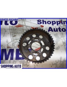 PULEGGIA ALBERO A CAMME... 2