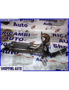 SCAMBIATORE DI CALORE EGR...