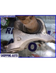 SEMIASSE CON SUPPORTO... 2