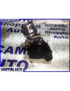 GRUPPO FARFALLATO RENAULT...