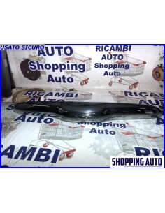 MANIGLIONE PORTELLONE...