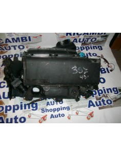 Filtro Aria Peugeot 307 1.9...