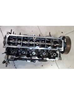 HEAD TESTATA ALBERO A CAMME...