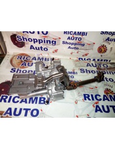 PIANTONE CANNA STERZO...