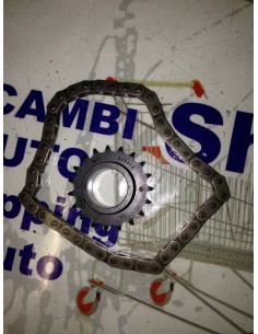 RUOTA DENTATA CON CATENA...