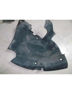 passaruota scenic dx 2005